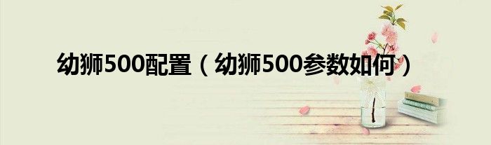 幼狮500配置（幼狮500参数如何）