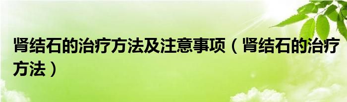 肾结石的治疗方法及注意事项（肾结石的治疗方法）