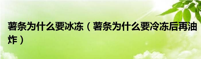 薯条为什么要冰冻（薯条为什么要冷冻后再油炸）