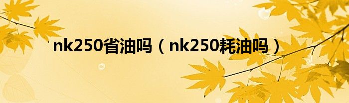 nk250省油吗（nk250耗油吗）