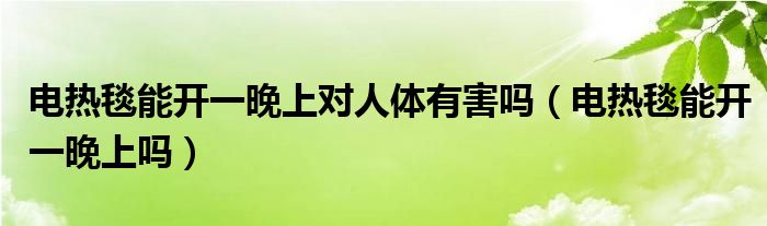 电热毯能开一晚上对人体有害吗（电热毯能开一晚上吗）