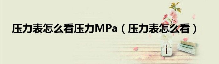 压力表怎么看压力MPa（压力表怎么看）