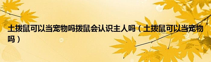 土拨鼠可以当宠物吗拨鼠会认识主人吗（土拨鼠可以当宠物吗）