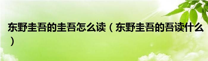 东野圭吾的圭吾怎么读（东野圭吾的吾读什么）