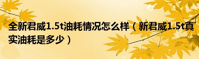 全新君威1.5t油耗情况怎么样（新君威1.5t真实油耗是多少）