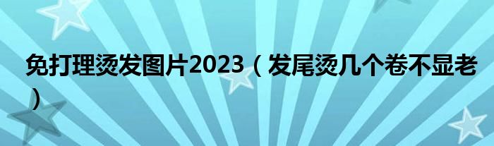 免打理烫发图片2023（发尾烫几个卷不显老）