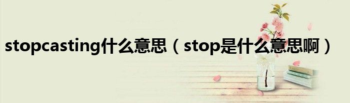 stopcasting什么意思（stop是什么意思啊）