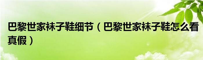 巴黎世家袜子鞋细节（巴黎世家袜子鞋怎么看真假）