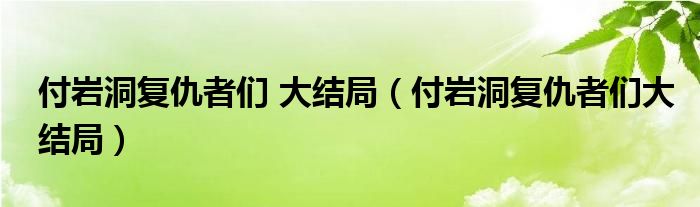 付岩洞复仇者们 大结局（付岩洞复仇者们大结局）