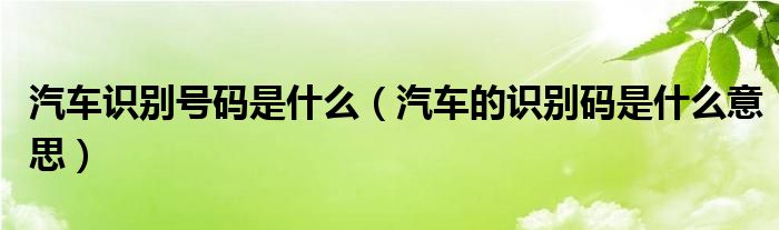 汽车识别号码是什么（汽车的识别码是什么意思）