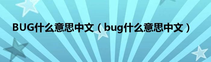 BUG什么意思中文（bug什么意思中文）