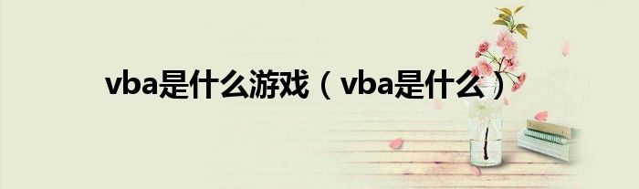 vba是什么游戏（vba是什么）