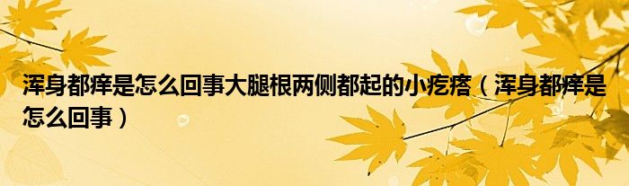 浑身都痒是怎么回事大腿根两侧都起的小疙瘩（浑身都痒是怎么回事）