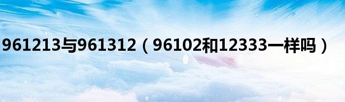 961213与961312（96102和12333一样吗）