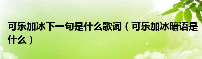 可乐加冰下一句是什么歌词（可乐加冰暗语是什么）