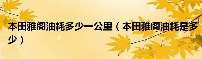 本田雅阁油耗多少一公里（本田雅阁油耗是多少）