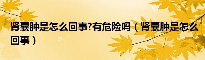 肾囊肿是怎么回事?有危险吗（肾囊肿是怎么回事）