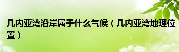 几内亚湾沿岸属于什么气候（几内亚湾地理位置）