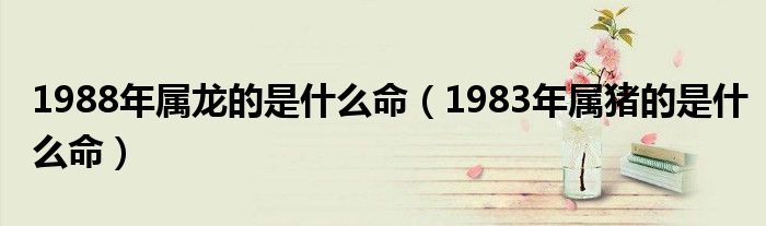 1988年属龙的是什么命（1983年属猪的是什么命）