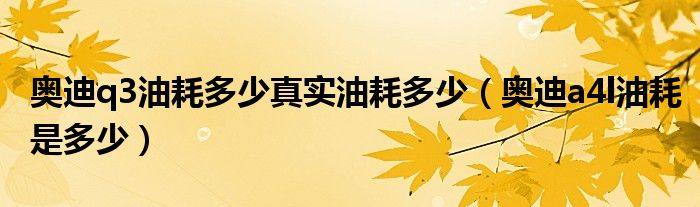 奥迪q3油耗多少真实油耗多少（奥迪a4l油耗是多少）