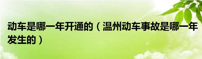 动车是哪一年开通的（温州动车事故是哪一年发生的）