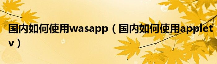 国内如何使用wasapp（国内如何使用appletv）