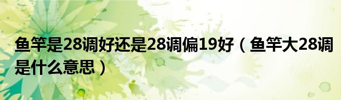 鱼竿是28调好还是28调偏19好（鱼竿大28调是什么意思）