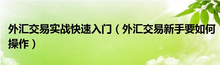 外汇交易实战快速入门（外汇交易新手要如何操作）