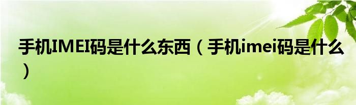 手机IMEI码是什么东西（手机imei码是什么）