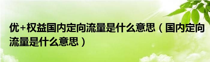 优+权益国内定向流量是什么意思（国内定向流量是什么意思）