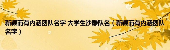 新颖而有内涵团队名字 大学生沙雕队名（新颖而有内涵团队名字）