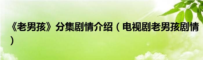 《老男孩》分集剧情介绍（电视剧老男孩剧情）