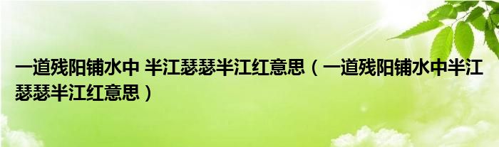 一道残阳铺水中 半江瑟瑟半江红意思（一道残阳铺水中半江瑟瑟半江红意思）