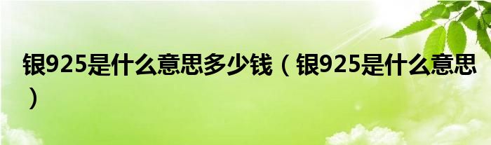 银925是什么意思多少钱（银925是什么意思）