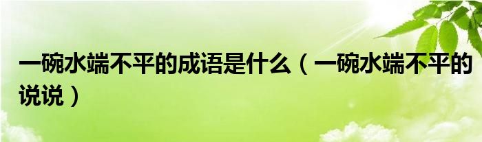 一碗水端不平的成语是什么（一碗水端不平的说说）