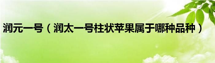 润元一号（润太一号柱状苹果属于哪种品种）