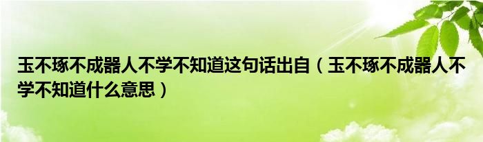 玉不琢不成器人不学不知道这句话出自（玉不琢不成器人不学不知道什么意思）