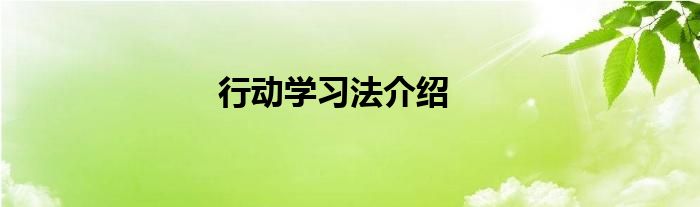 行动学习法介绍