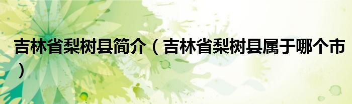 吉林省梨树县简介（吉林省梨树县属于哪个市）