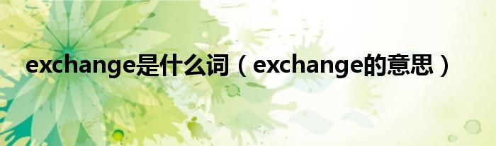 exchange是什么词（exchange的意思）