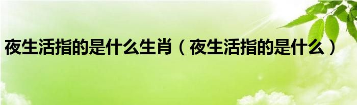 夜生活指的是什么生肖（夜生活指的是什么）