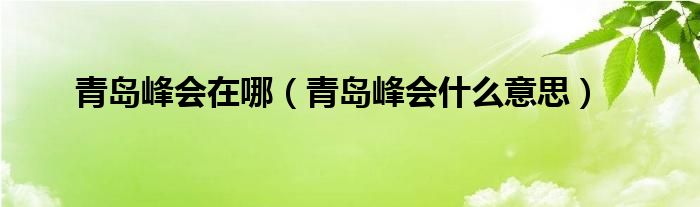 青岛峰会在哪（青岛峰会什么意思）