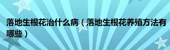 落地生根花治什么病（落地生根花养殖方法有哪些）