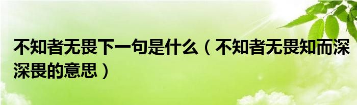 不知者无畏下一句是什么（不知者无畏知而深深畏的意思）