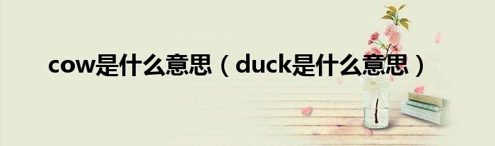 cow是什么意思（duck是什么意思）