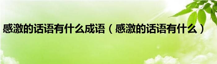 感激的话语有什么成语（感激的话语有什么）