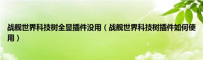 战舰世界科技树全显插件没用（战舰世界科技树插件如何使用）