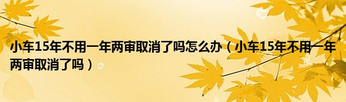 小车15年不用一年两审取消了吗怎么办（小车15年不用一年两审取消了吗）