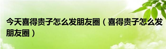 今天喜得贵子怎么发朋友圈（喜得贵子怎么发朋友圈）