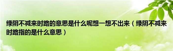 绿阴不减来时路的意思是什么呢想一想不出来（绿阴不减来时路指的是什么意思）